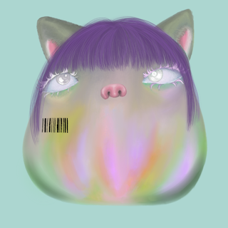 folder icon
